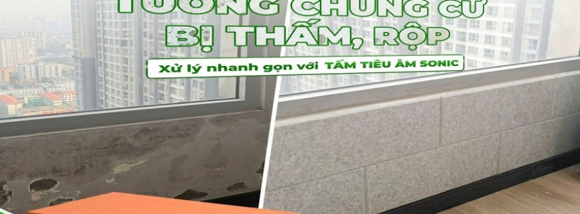 Tường Chung Cư Thấm, Rộp – Xử Lý Nhanh Gọn Với Tấm Tiêu Âm Sonic